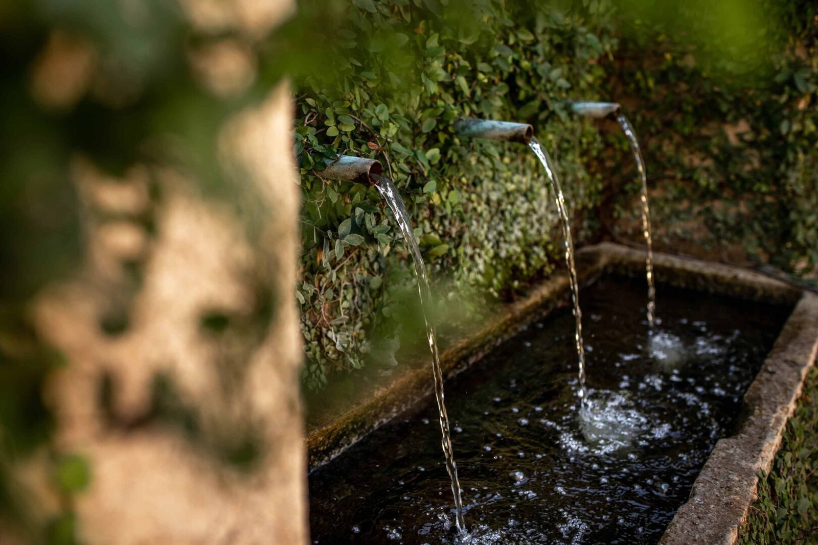 seven branches corporate the courtyard beautiful fountain pouring water 1